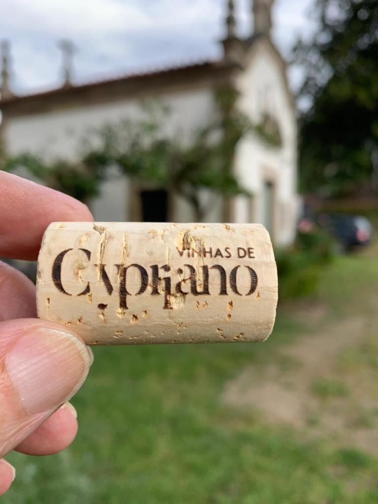 Quinta De Cypriano - Wine & Nature Ponte da Barca Extérieur photo